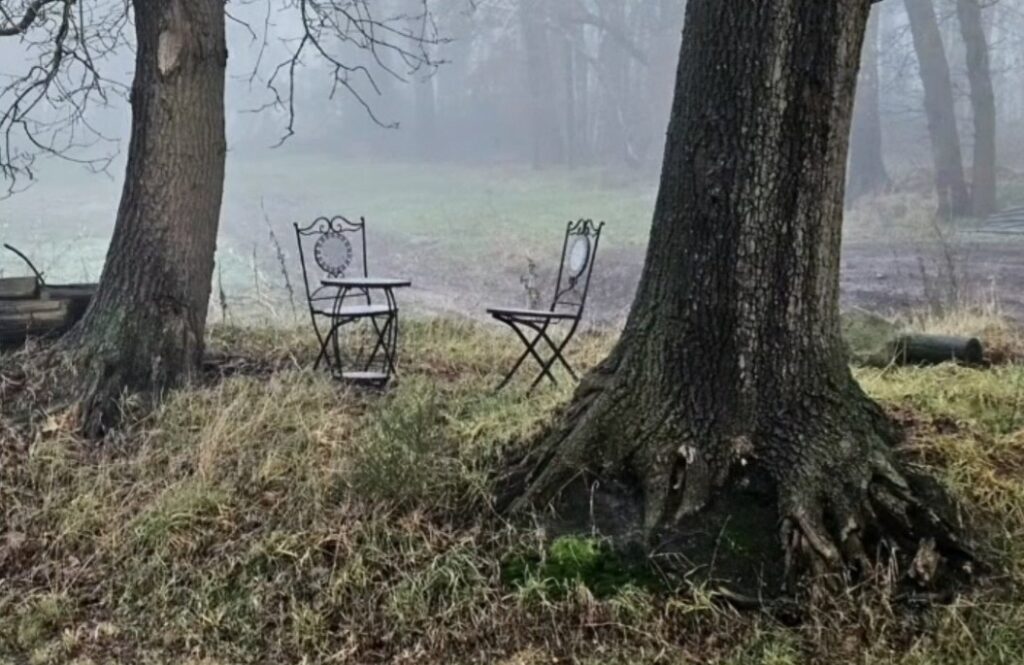 Zwei Stühle an einem Tisch zwischen Bäumen
